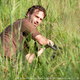 Illustration for article titled The Governor's evil insanity beats Rick's plain insanity on The Walking Dead